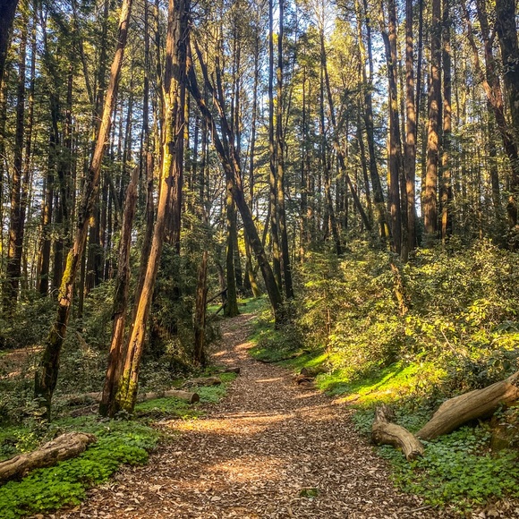 Meet your Posher, Lori - Picture 6 of 6